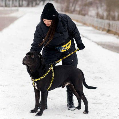 Batman - DC Comics Inspired Dog Harness