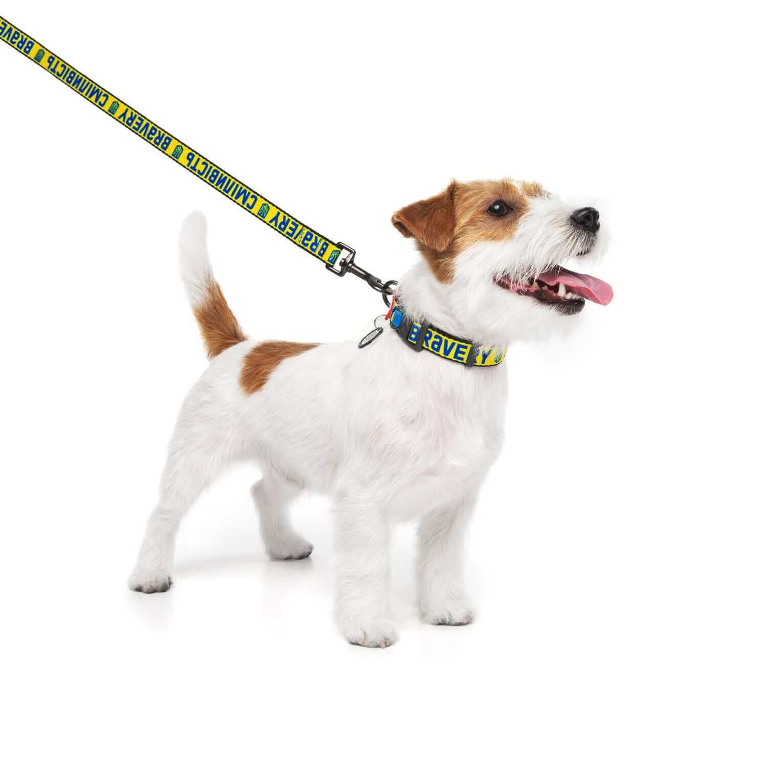 Bravery Dog Collar - Minuapet