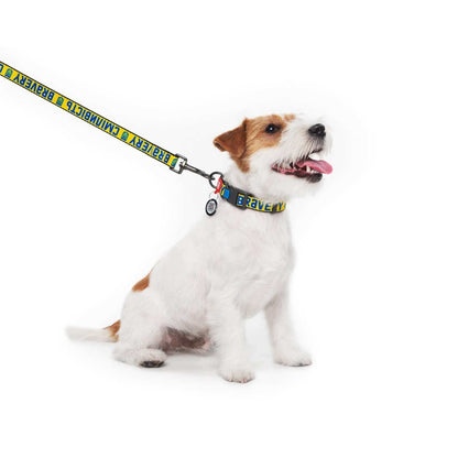 Bravery Leash - Minuapet