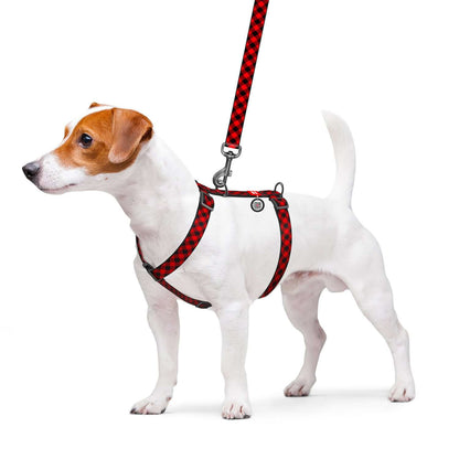 True North Tails - Red Plaid Adjustable Leash