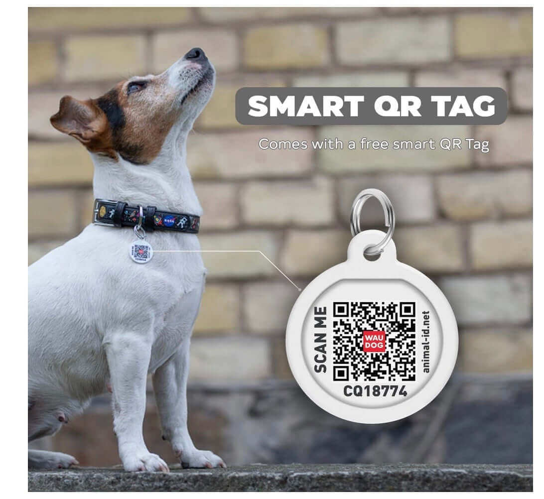 Superman pet id outlet tag