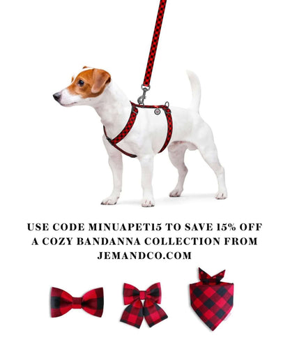 True North Tails - Red Plaid H-Harness