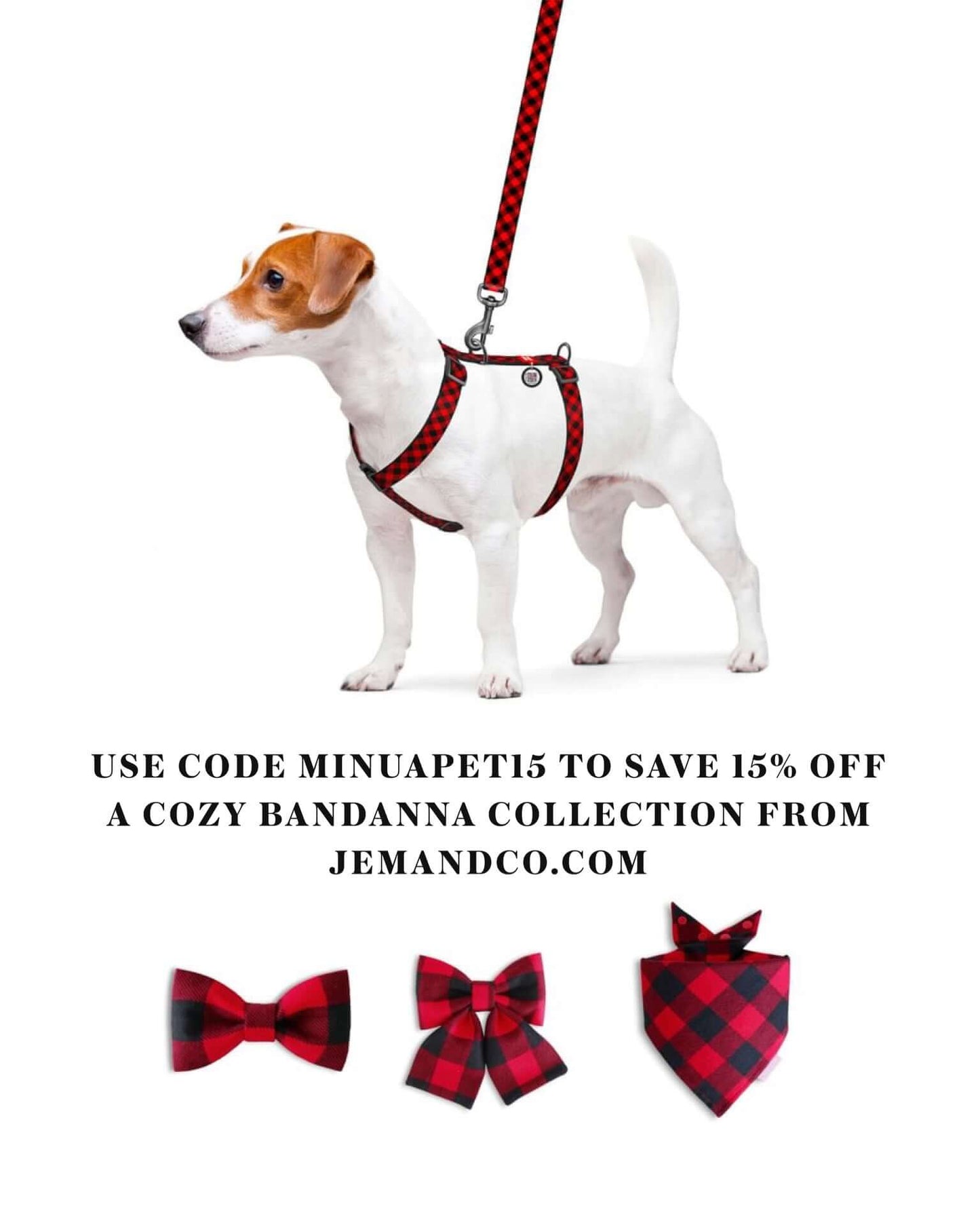 True North Tails - Red Plaid Adjustable Leash