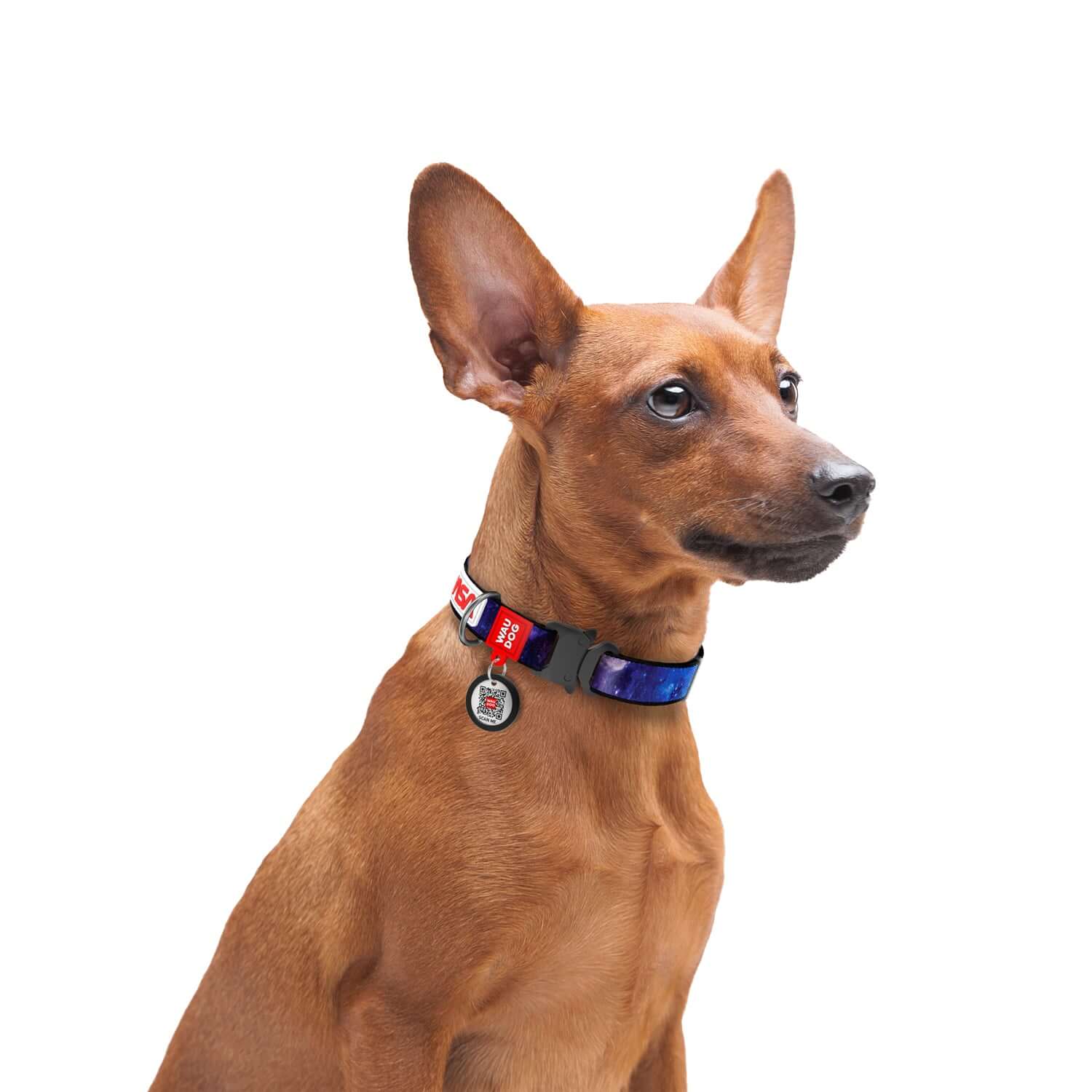 NASA - Inspired Nylon Dog Collar - Minuapet