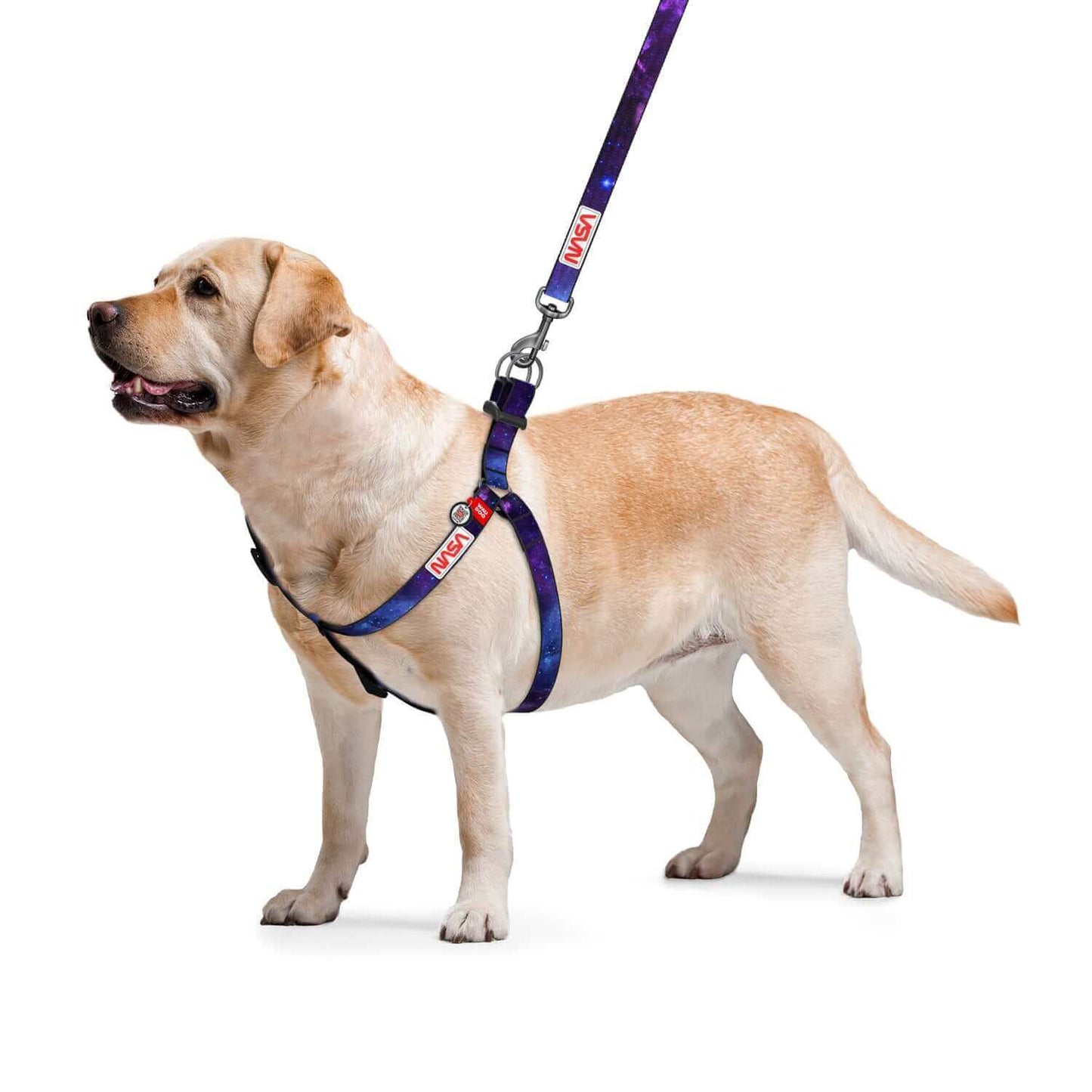 NASA - Inspired Dog Harness - Minuapet