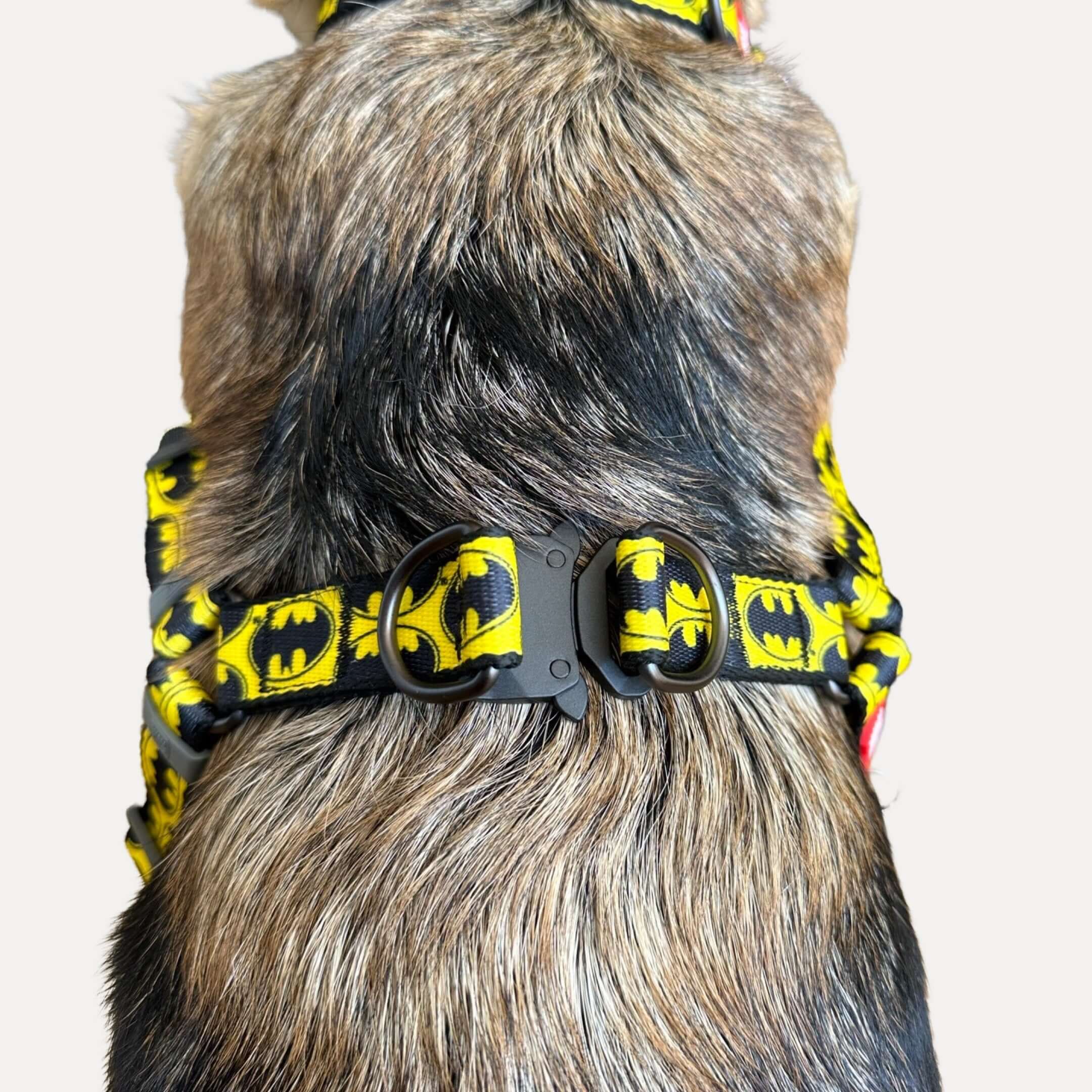 Batman dog accessories best sale