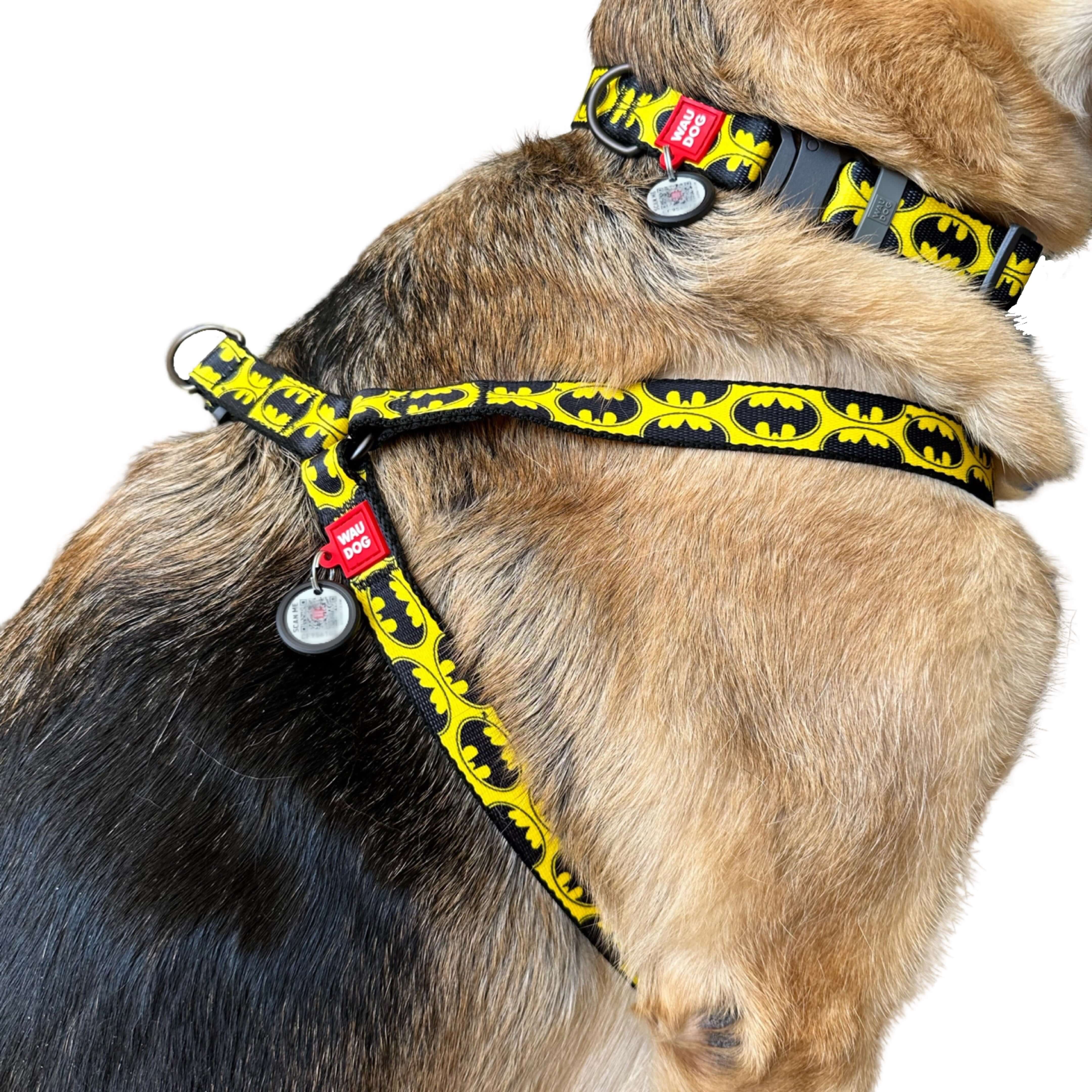 Batman dog cheap harness